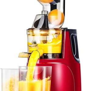 300w slow masticating juice