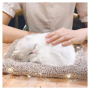 sleeping cute cat for car dashboard and home decor with activated carbon