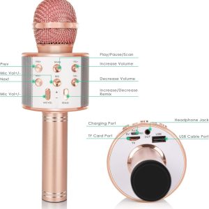 5 in 1 portable handheld karaoke mic