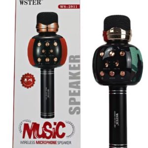 portable multi function wireless microphone