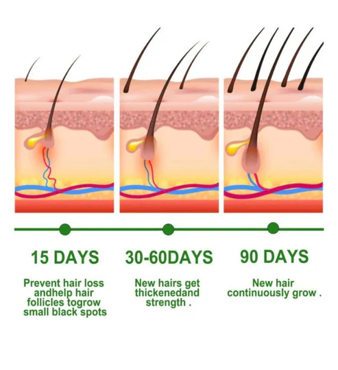 rosemary hair care essential oil rosemary hair care essential oil